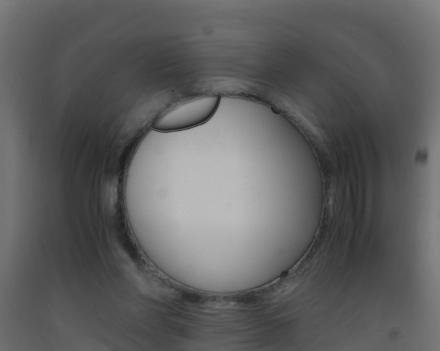 X0000093410206200710120922