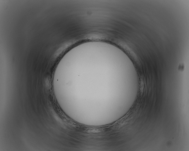 X0000093410208200710120922