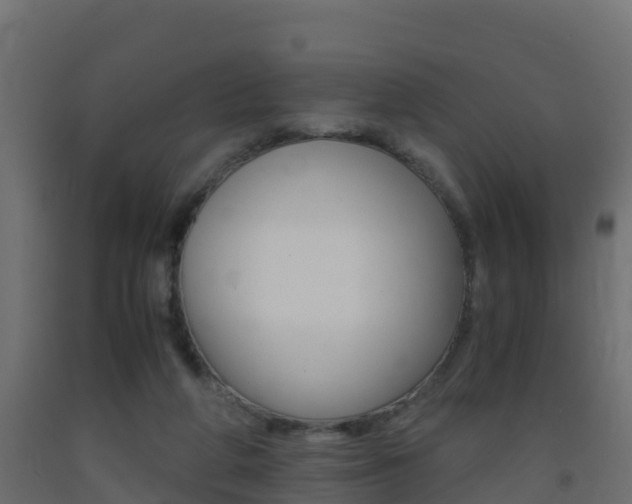 X0000093410210200710120922