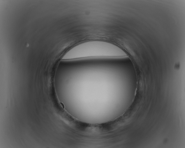 X0000093410211200710120922
