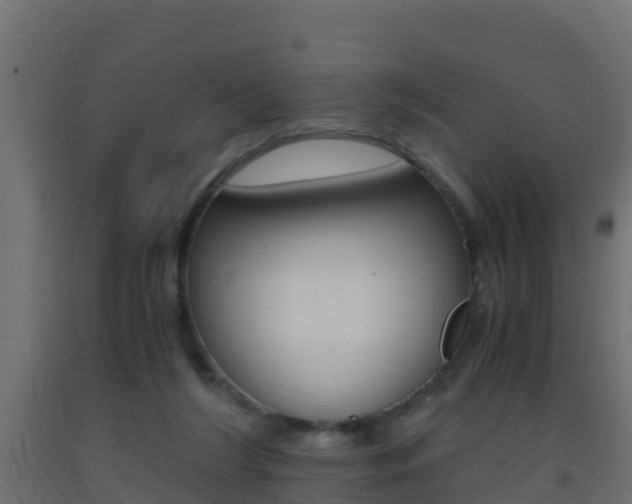 X0000093410212200710120922