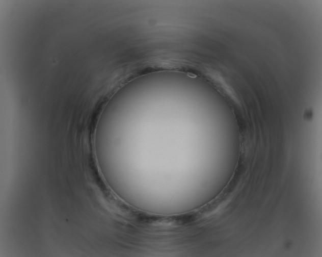 X0000093410213200710120922