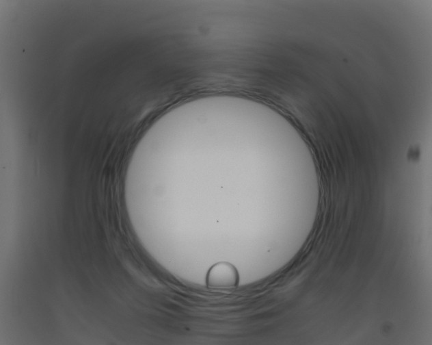 X0000093410215200710120922