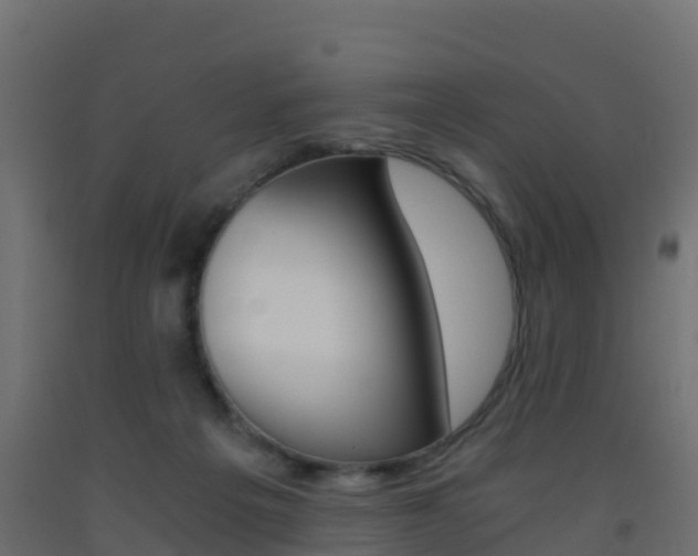 X0000093410217200710120922