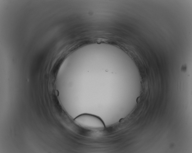 X0000093410218200710120922