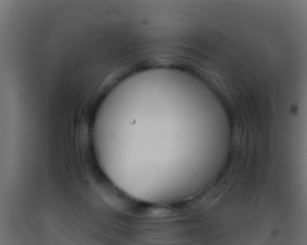 X0000093410220200710120922