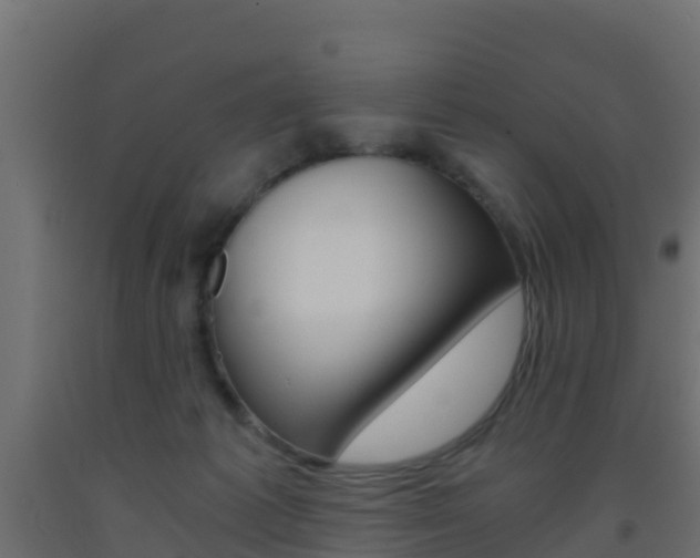 X0000093410221200710120922
