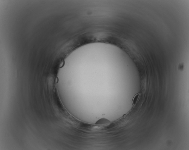 X0000093410222200710120922