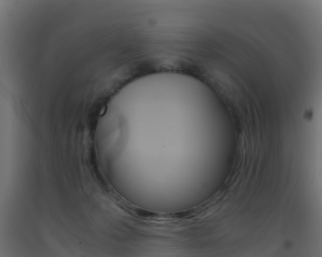 X0000093410223200710120922