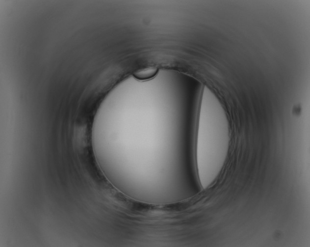 X0000093410224200710120922