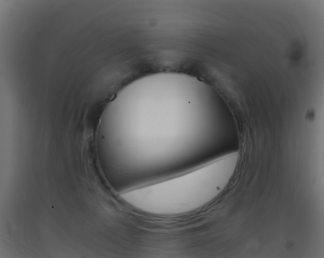 X0000093410225200710120922