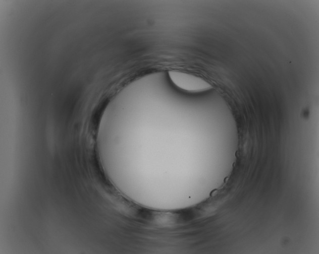 X0000093410226200710120922