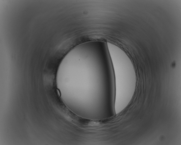 X0000093410227200710120922