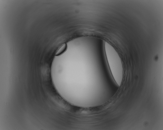 X0000093410228200710120922