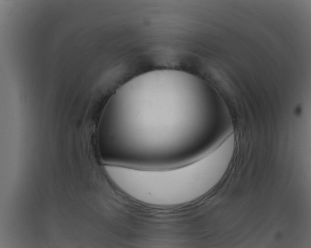 X0000093410229200710120922