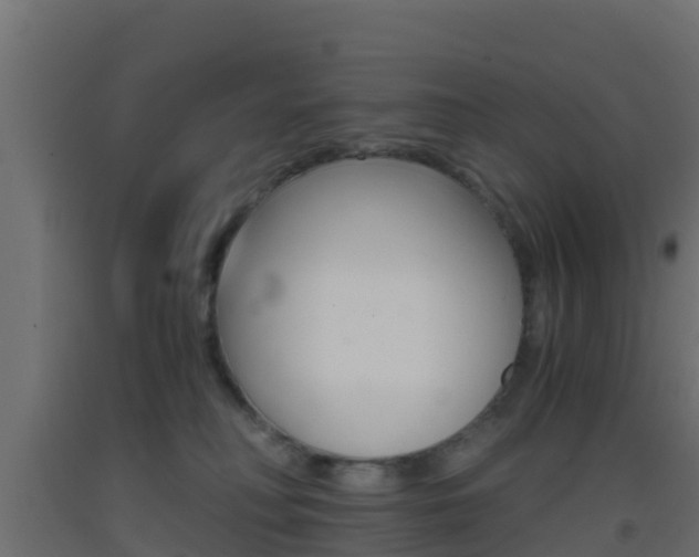 X0000093410230200710120922