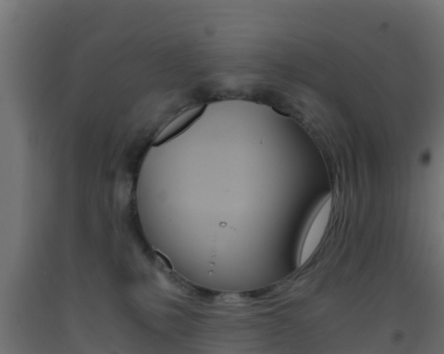 X0000093410231200710120922