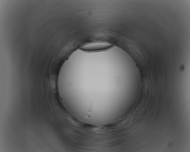 X0000093410232200710120922