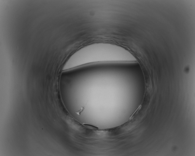 X0000093410233200710120922