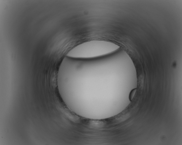 X0000093410234200710120922
