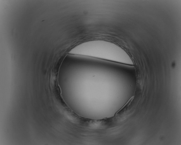 X0000093410235200710120922