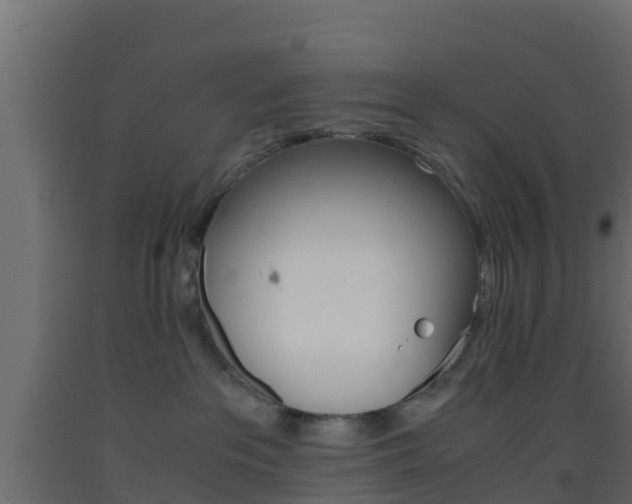 X0000093410237200710120922