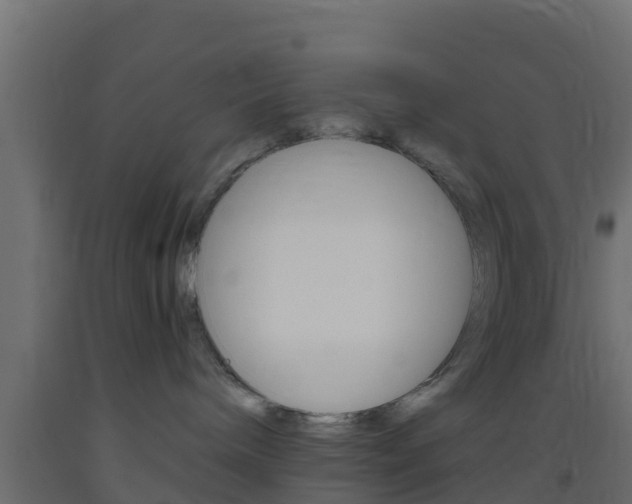 X0000093410240200710120922
