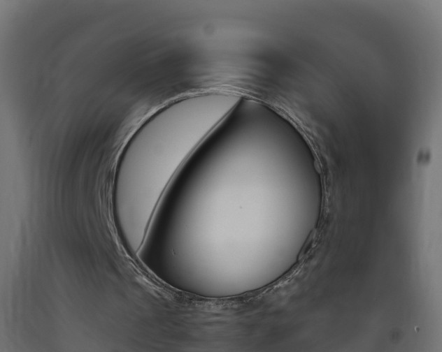 X0000093410241200710120921
