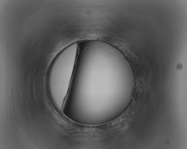 X0000093410242200710120921