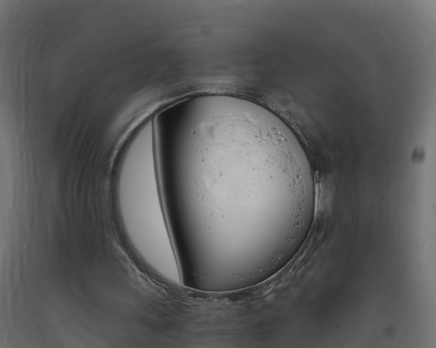 X0000093410243200710120921