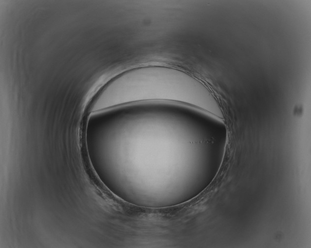 X0000093410244200710120921