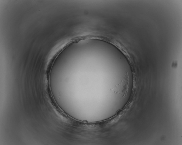 X0000093410245200710120921