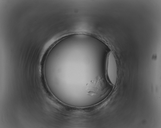 X0000093410246200710120921