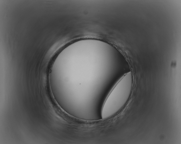 X0000093410247200710120921