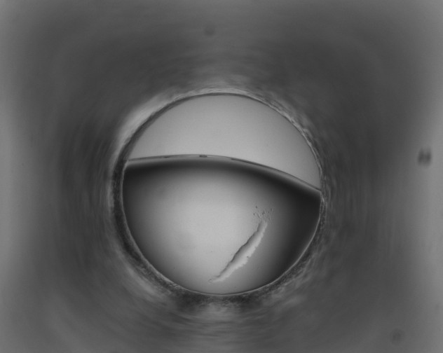 X0000093410248200710120921