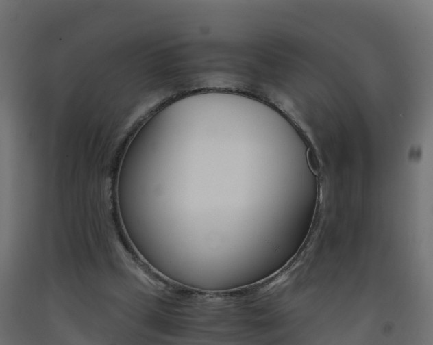 X0000093410249200710120921