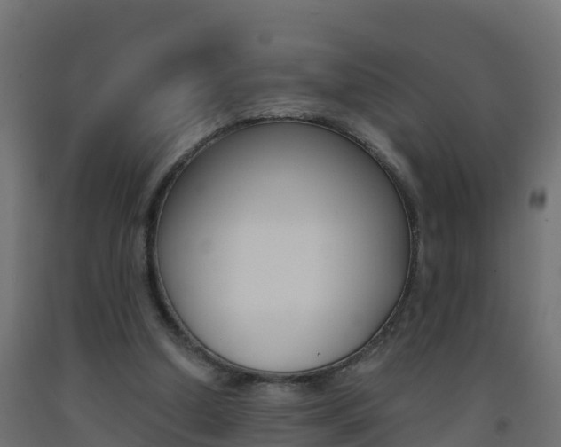 X0000093410250200710120921