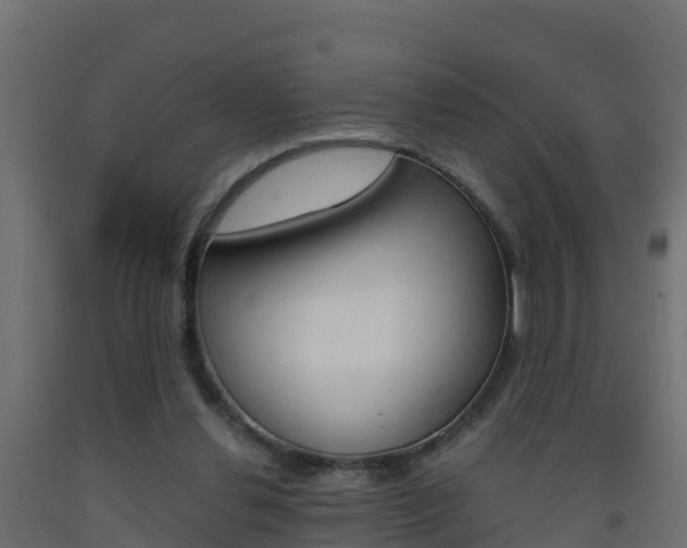 X0000093410252200710120921