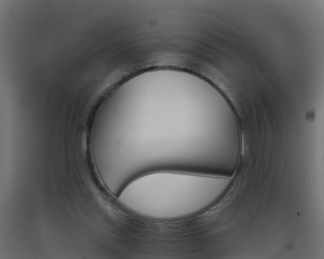 X0000093410253200710120921