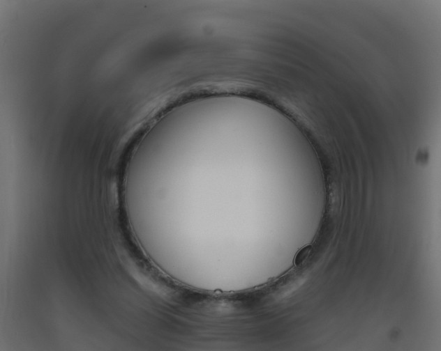 X0000093410254200710120921
