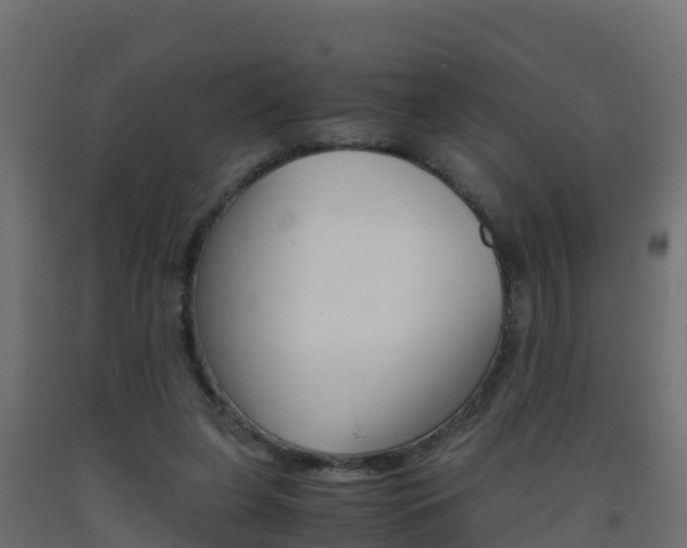 X0000093410255200710120921