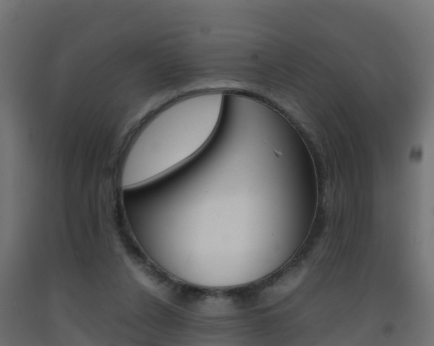 X0000093410256200710120922