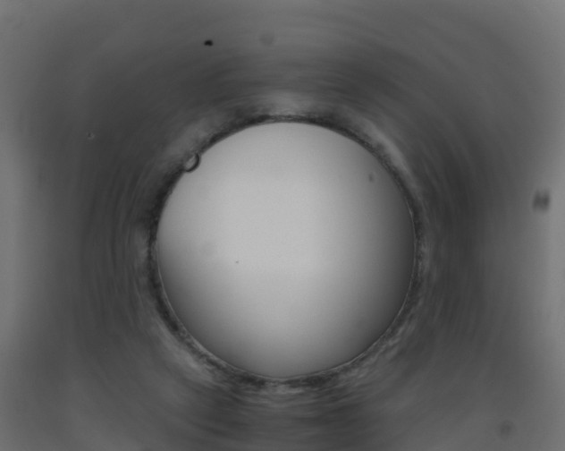 X0000093410257200710120922