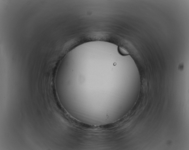X0000093410259200710120922