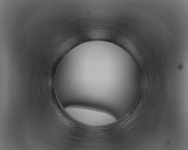 X0000093410261200710120922