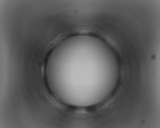X0000093410262200710120922