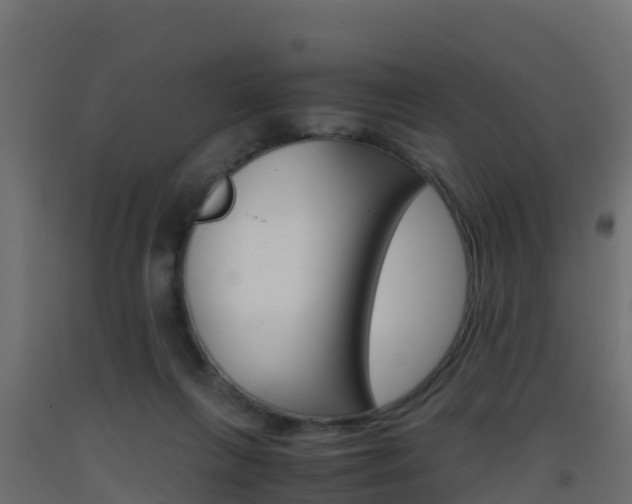 X0000093410263200710120922