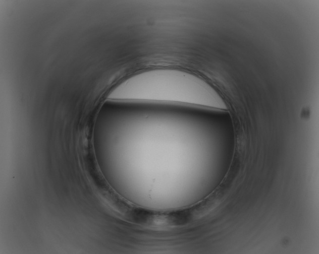 X0000093410264200710120922
