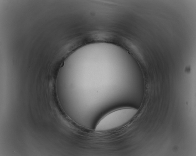 X0000093410265200710120922