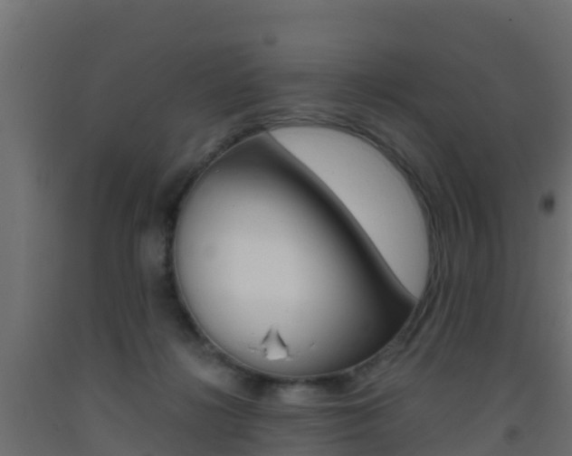 X0000093410268200710120922